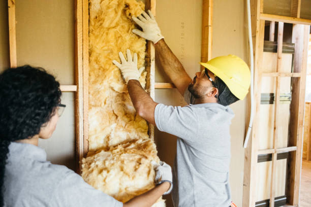Best Professional Insulation Contractor  in Brodhead, WI