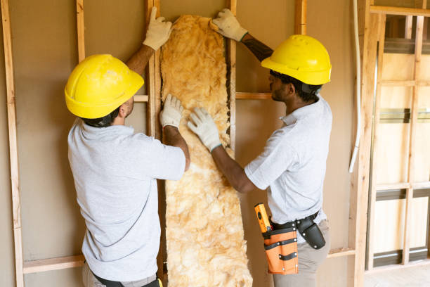 Best Attic Insulation Installation  in Brodhead, WI