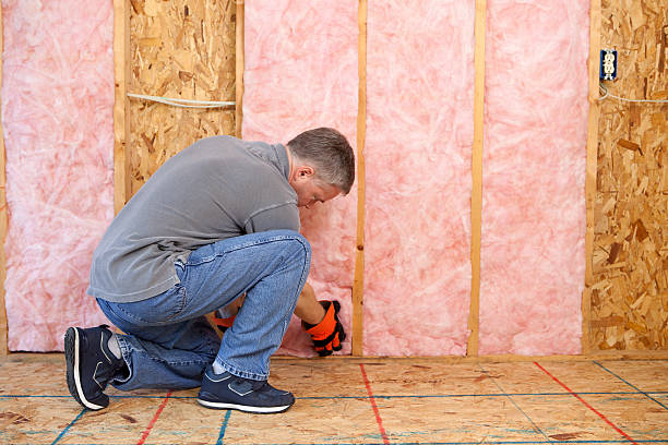 Best Local Insulation Services  in Brodhead, WI